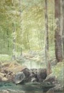 Forest Brook