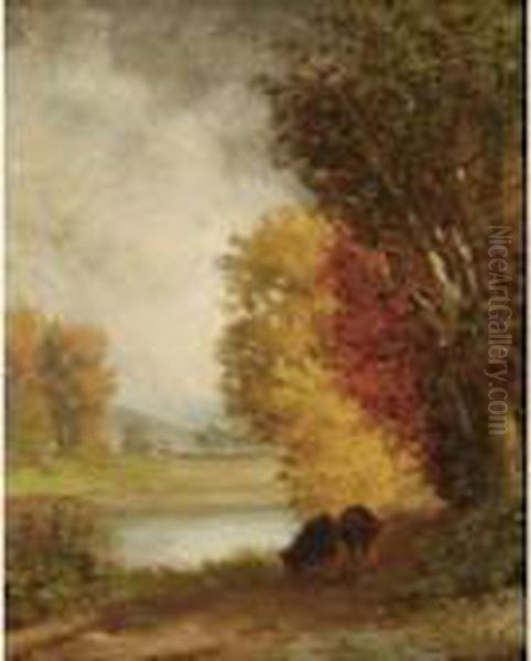 Autumn - view 1
