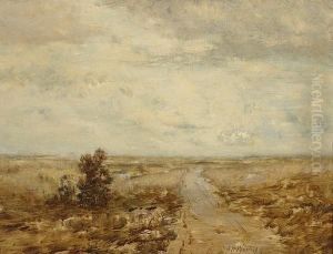 Barren Landscape
