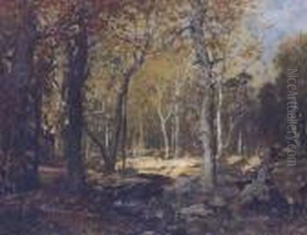 Sunlit Clearing - view 1