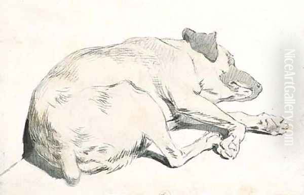 A sleeping dog - view 1