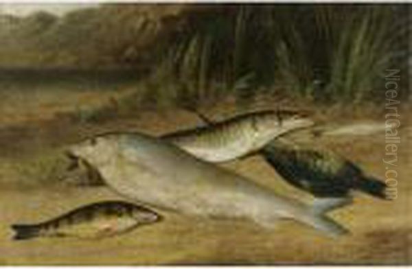 The Day's Catch - view 1