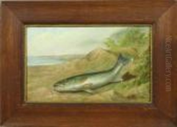 Fresh Catch - view 1
