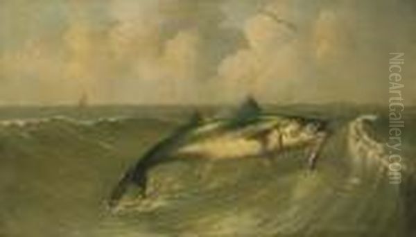 Fish On The Line - view 1