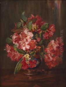 Still Life by Kate Wylie