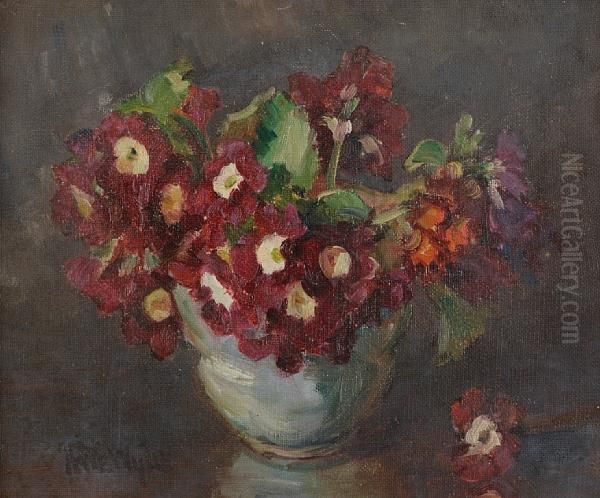 Auricula - view 1