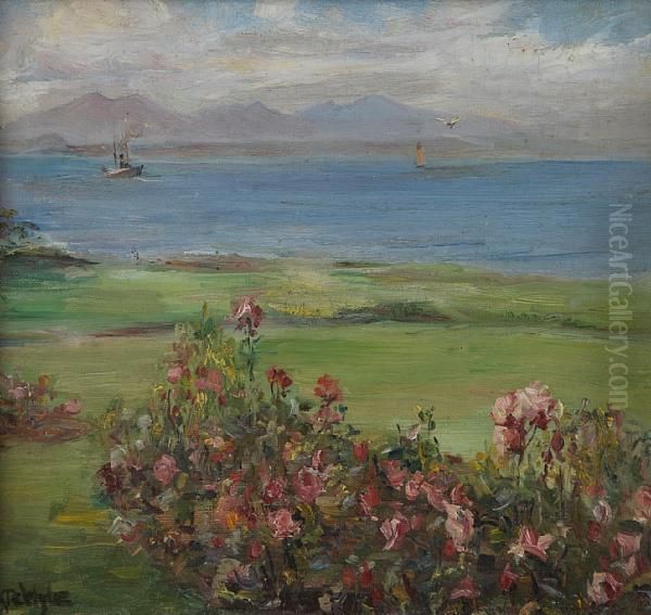 Looking To Arran - view 1