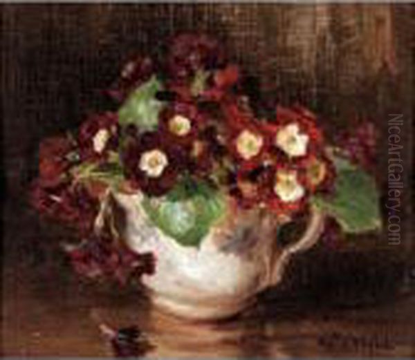 Auricula - view 1