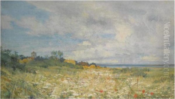 Summer - view 1