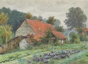 Cabbage Field Near The Farmhouse