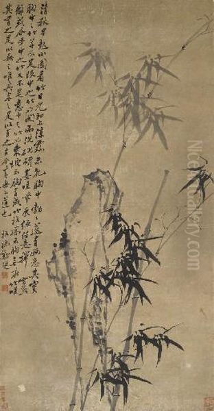 Bamboo - view 1