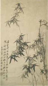 Bamboo