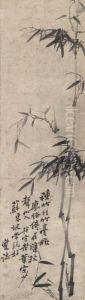 Bamboo