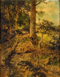 "pinos" by Luis Muriel Y Lopez