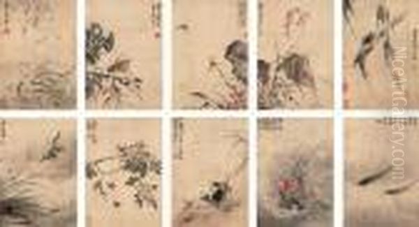 Insects, Shrimp And Fish - view 1