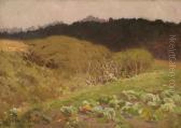 Cabbage Patch - view 1