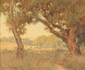 Cattle Grazing In A Sunlit Clearing by Sydney Jones Yard