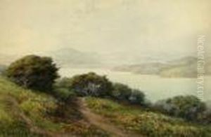Landscape by Sydney Jones Yard