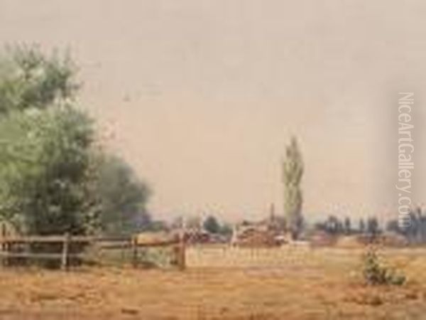 The Summer Ranch - view 1