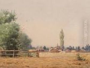 The Summer Ranch