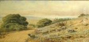 Sheep On The Hillside With A Coastal View by Sydney Jones Yard