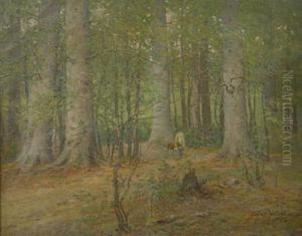 Hunting In Forest Interior - view 1