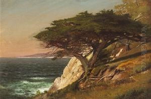 Cypress Tree, Carmel Bay - view 1