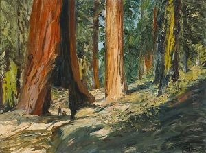 Redwoods, Yosemite National Park, 1919