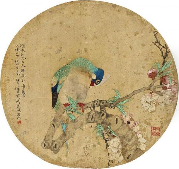 Parrot - view 1