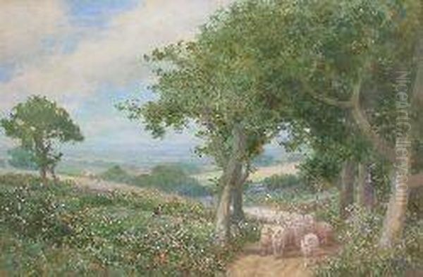 The Return Of The Flock - view 1