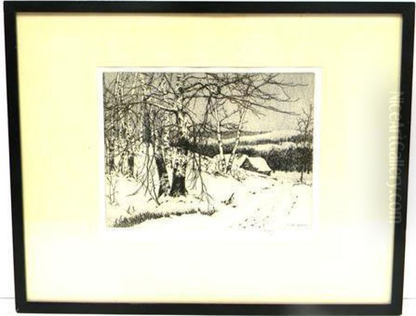 Birch Trees - view 1