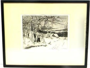 Birch Trees