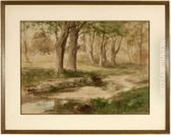 Trees - view 1