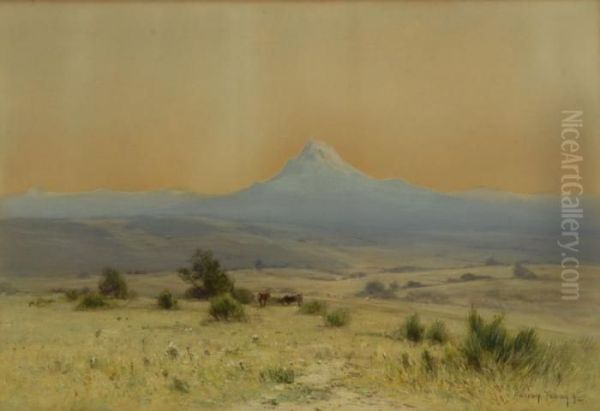 Colorado Landscape - view 1