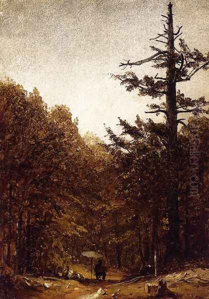 A Forest Road - view 1