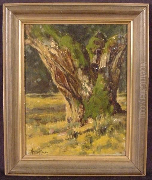 A Study Of A Tree Trunk - view 1