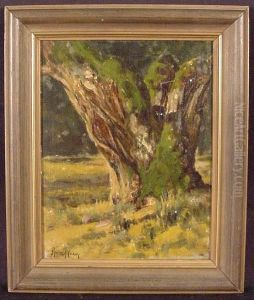 A Study Of A Tree Trunk