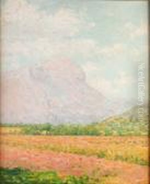 Paisaje - view 1