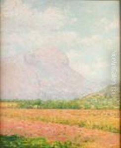 Paisaje Paisaje