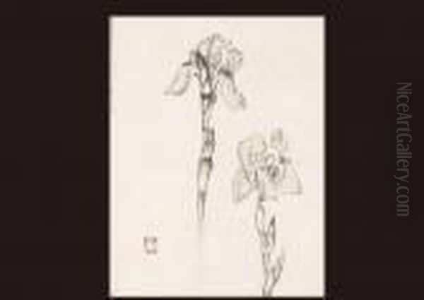 Iris - view 1