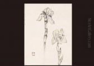 Iris Iris