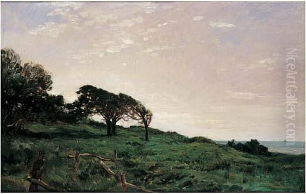 Les Graves De Villerville - view 1
