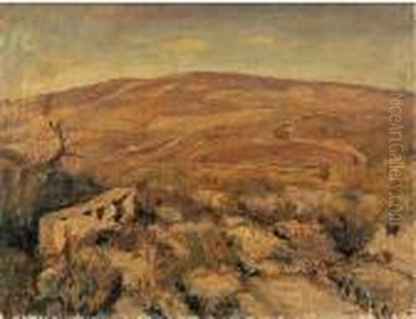 Paesaggio - view 1