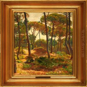 Forest Scene From Pisa, Italy