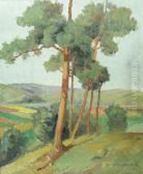 Landscape - view 1