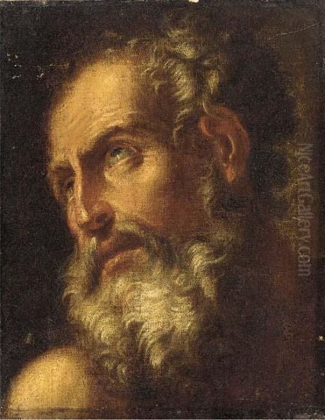 An Old Man, Head And Shoulders - view 1