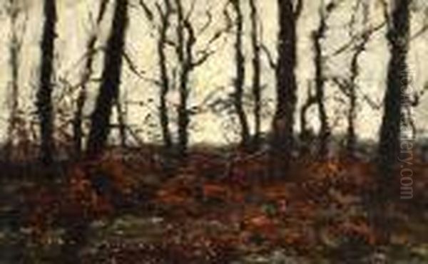 A Forrest In Autumn Colours - view 1