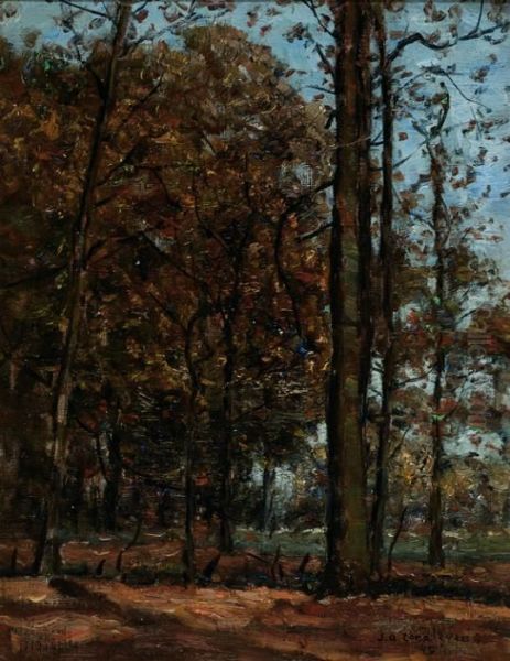 A Forrest - view 1