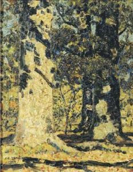 Witte Boom - White Tree - view 1