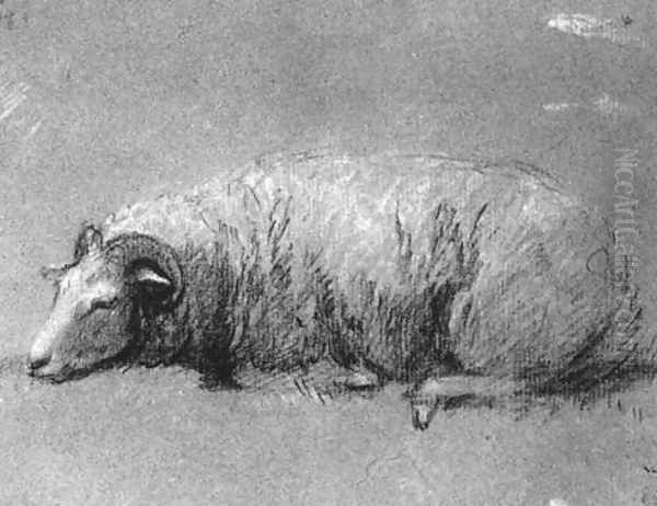 Study of a Sheep 1757-59 - view 1